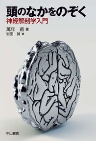 頭のなかをのぞく　神経解剖学入門 1304
